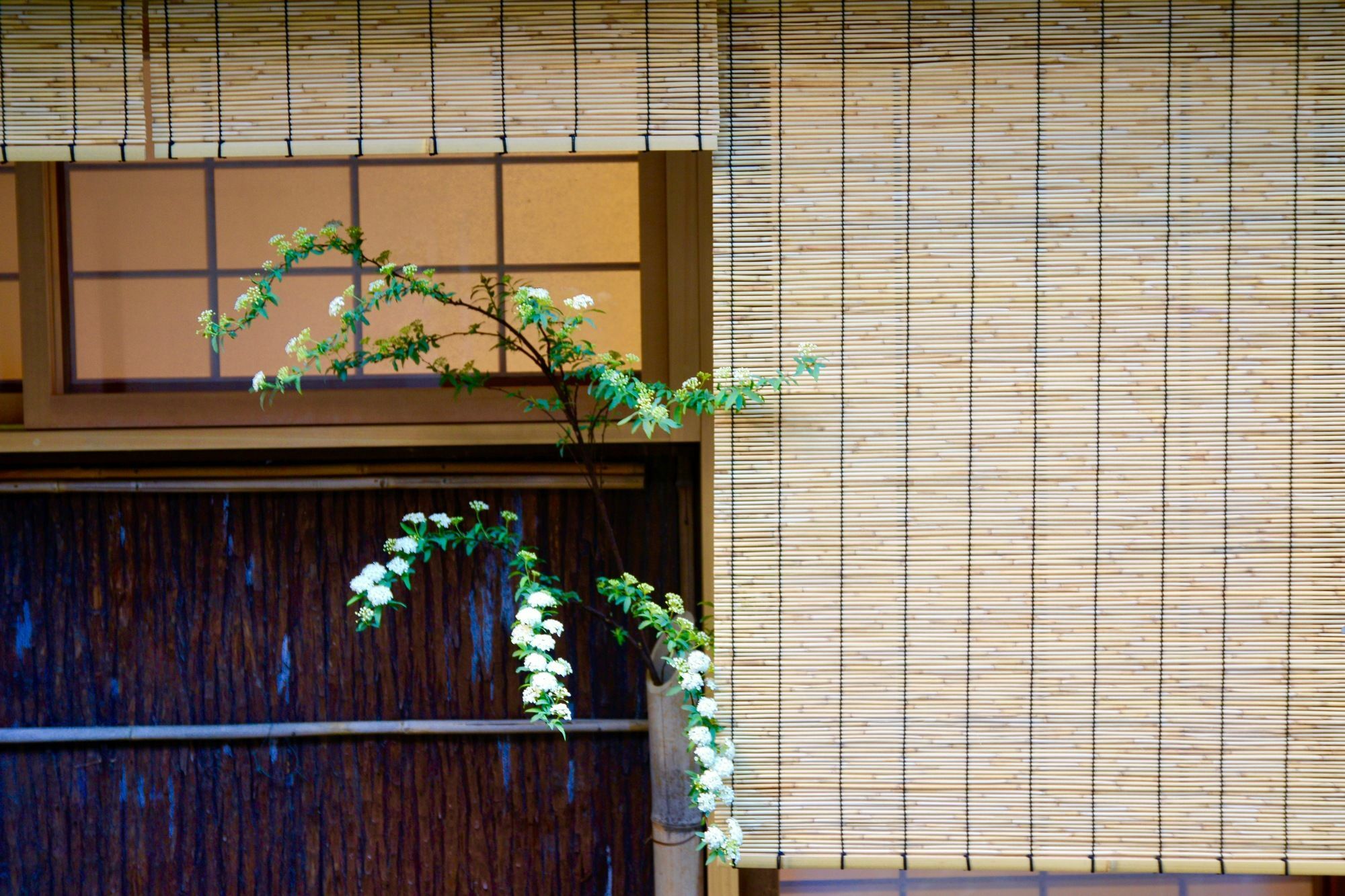 Mitsuki Kyoto Hotel Exterior foto