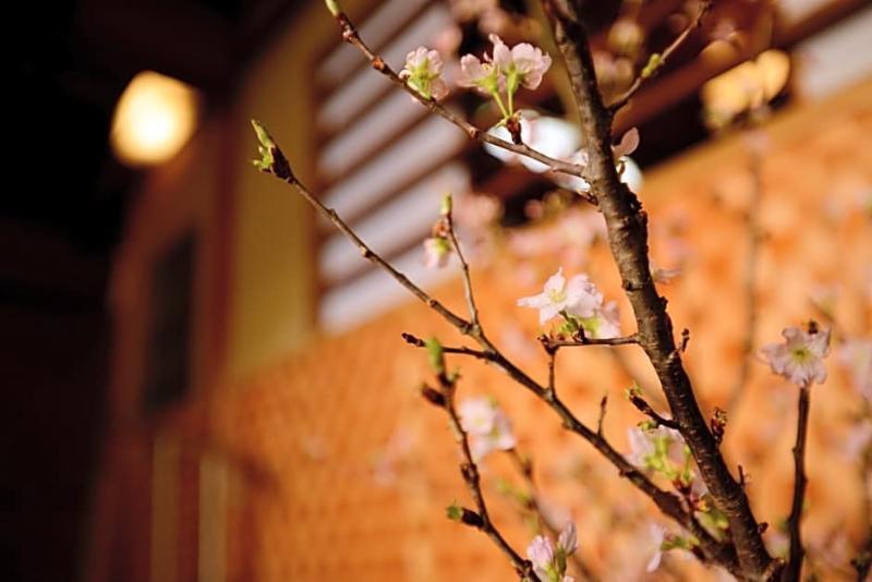 Mitsuki Kyoto Hotel Exterior foto